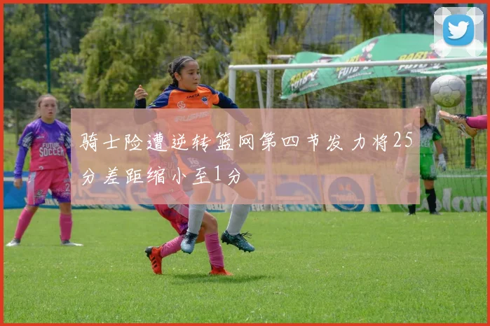 骑士险遭逆转篮网第四节发力将25分差距缩小至1分