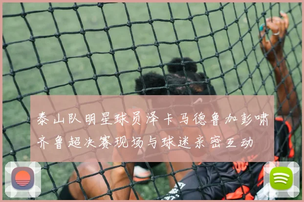 泰山队明星球员泽卡马德鲁加彭啸齐鲁超决赛现场与球迷亲密互动